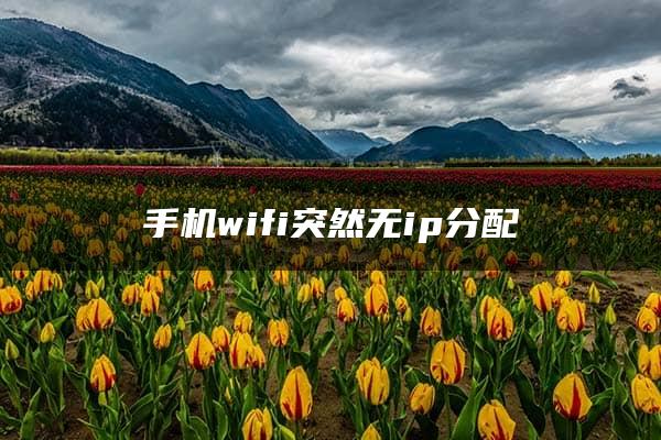 手机wifi突然无ip分配