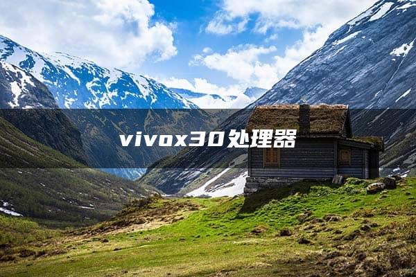 vivox30处理器