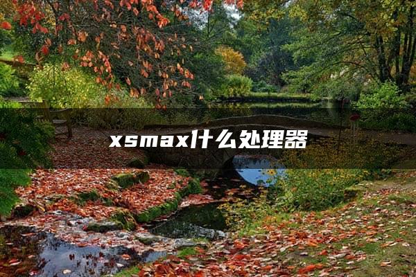 xsmax什么处理器