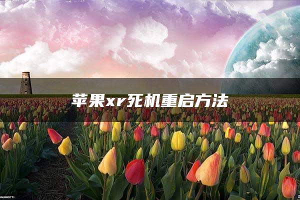 苹果xr死机重启方法