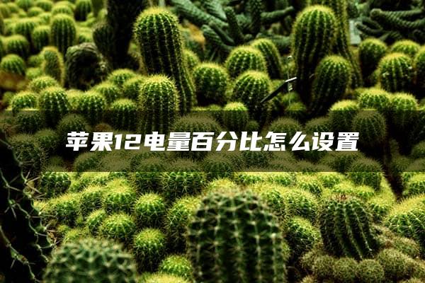 苹果12电量百分比怎么设置