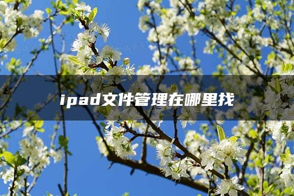 ipad文件管理在哪里找