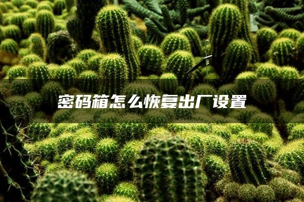 密码箱怎么恢复出厂设置