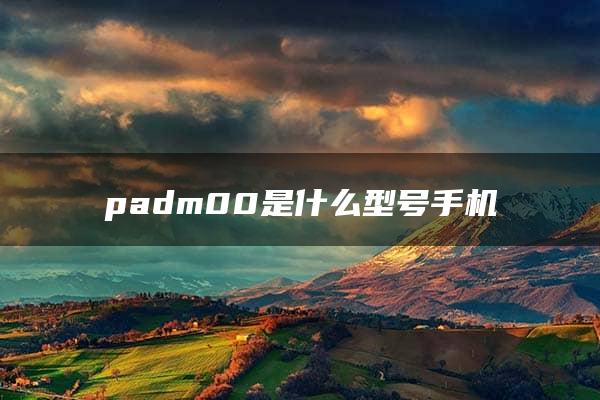 padm00是什么型号手机