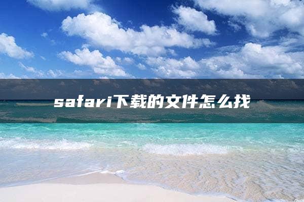 safari下载的文件怎么找