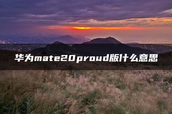 华为mate20proud版什么意思