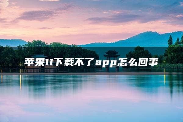 苹果11下载不了app怎么回事