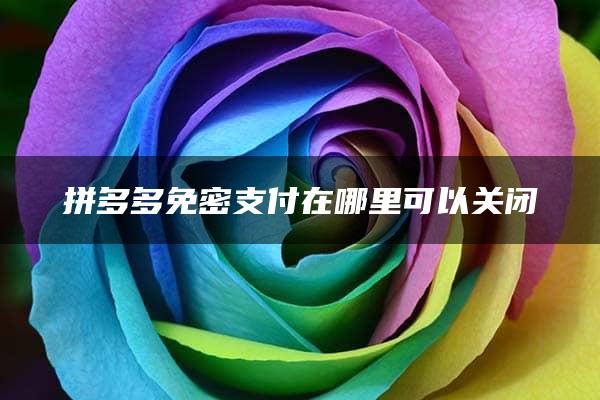 拼多多免密支付在哪里可以关闭