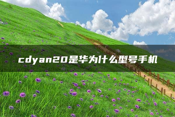 cdyan20是华为什么型号手机