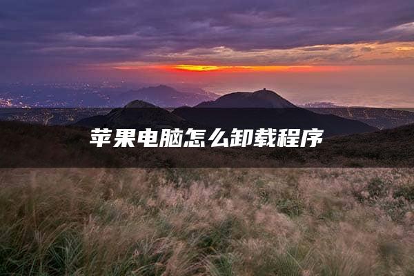 苹果电脑怎么卸载程序