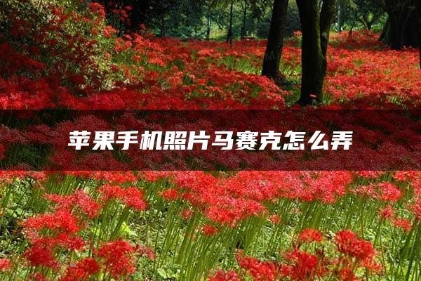 苹果手机照片马赛克怎么弄