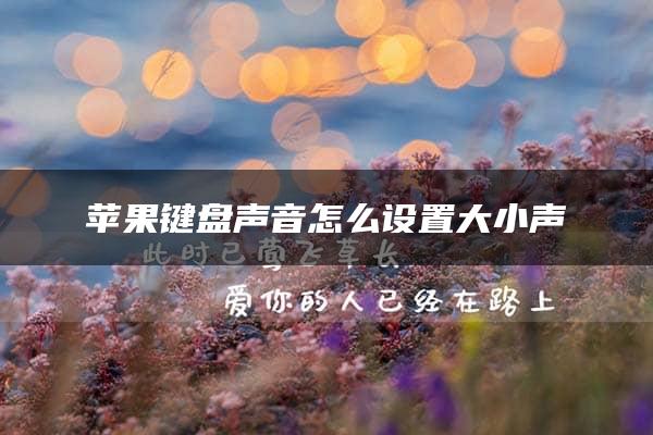 苹果键盘声音怎么设置大小声