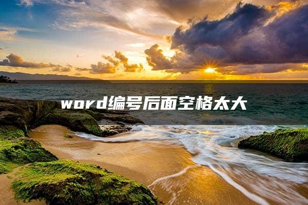 word编号后面空格太大