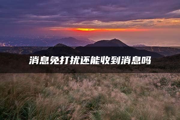 消息免打扰还能收到消息吗