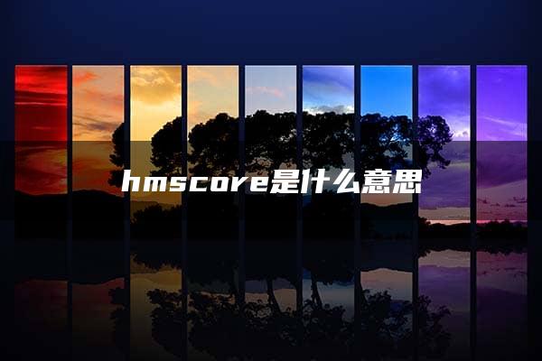 hmscore是什么意思