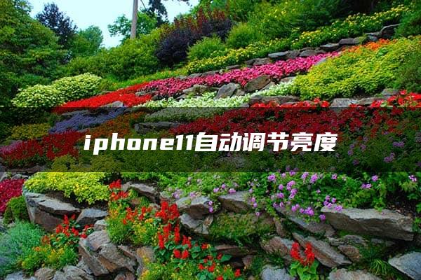 iphone11自动调节亮度