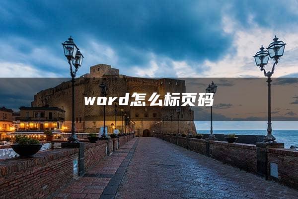 word怎么标页码