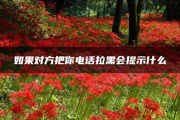 如果对方把你电话拉黑会提示什么