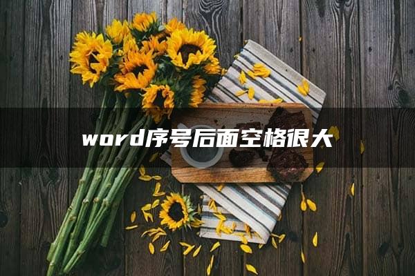 word序号后面空格很大