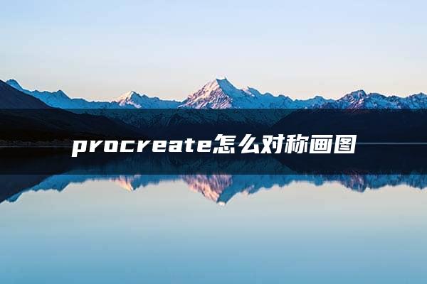 procreate怎么对称画图