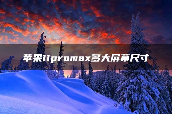 苹果11promax多大屏幕尺寸