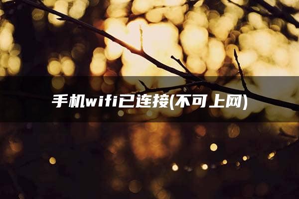 手机wifi已连接(不可上网)