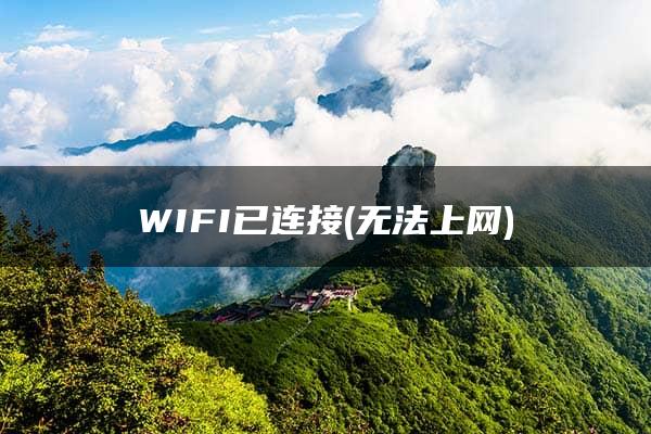 WIFI已连接(无法上网)