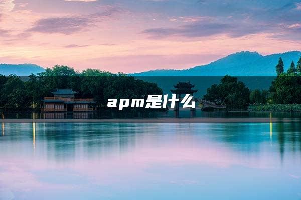 apm是什么