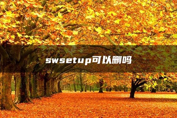 swsetup可以删吗