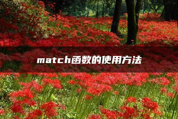 match函数的使用方法