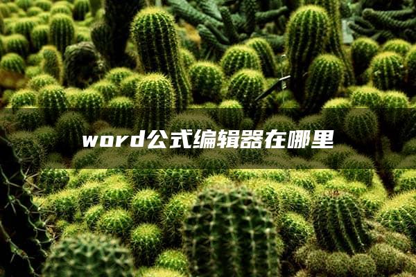 word公式编辑器在哪里