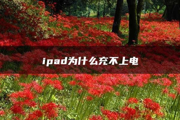 ipad为什么充不上电