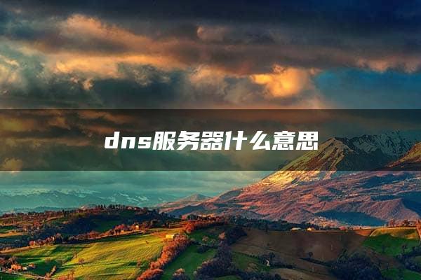 dns服务器什么意思