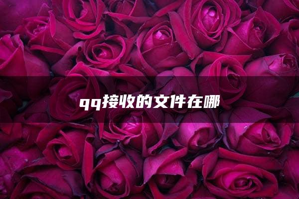 qq接收的文件在哪