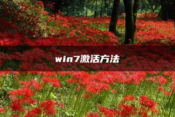 win7激活方法