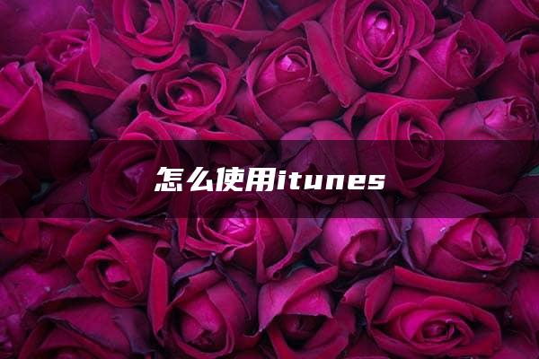 怎么使用itunes