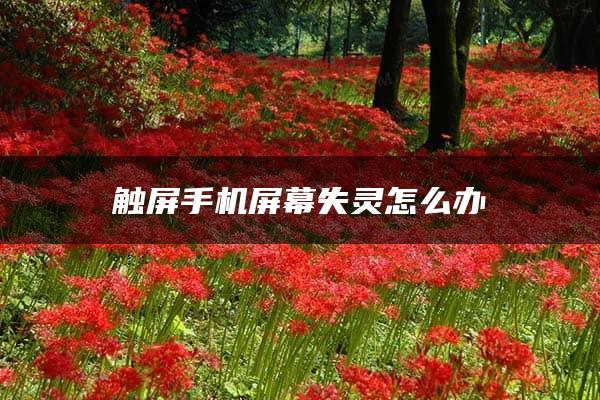 触屏手机屏幕失灵怎么办