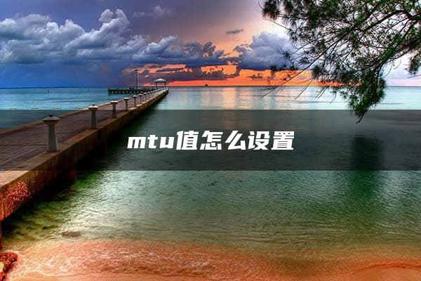 mtu值怎么设置