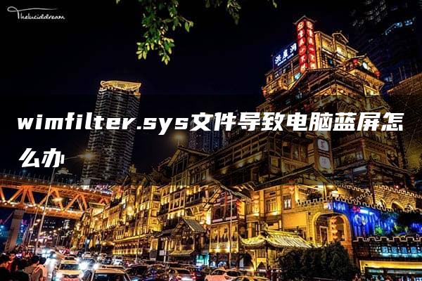 wimfilter.sys文件导致电脑蓝屏怎么办