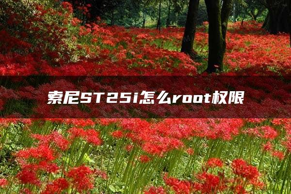 索尼ST25i怎么root权限