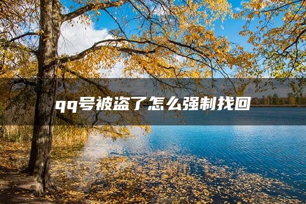 qq号被盗了怎么强制找回