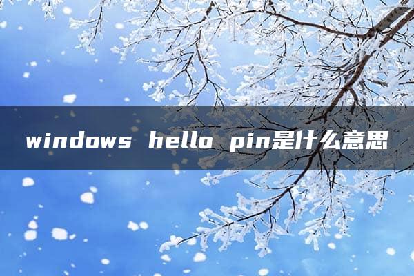 windows hello pin是什么意思