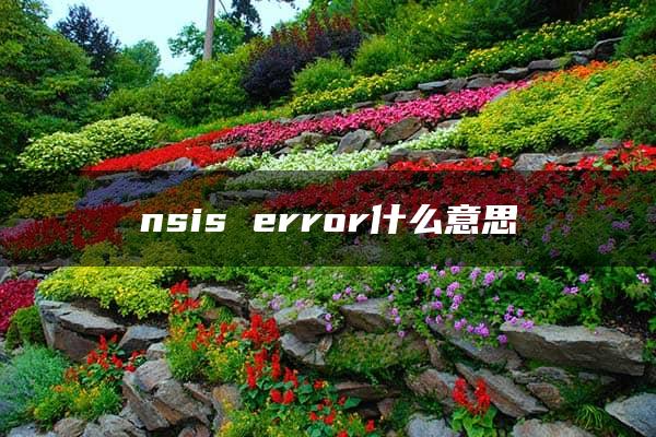 nsis error什么意思