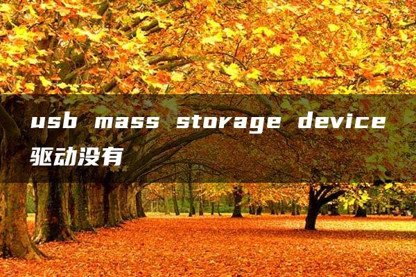 usb mass storage device驱动没有