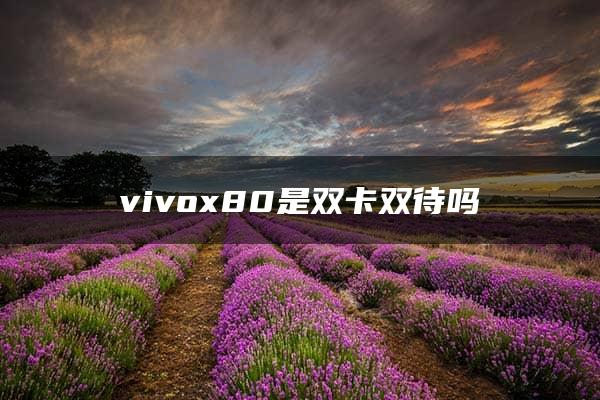 vivox80是双卡双待吗