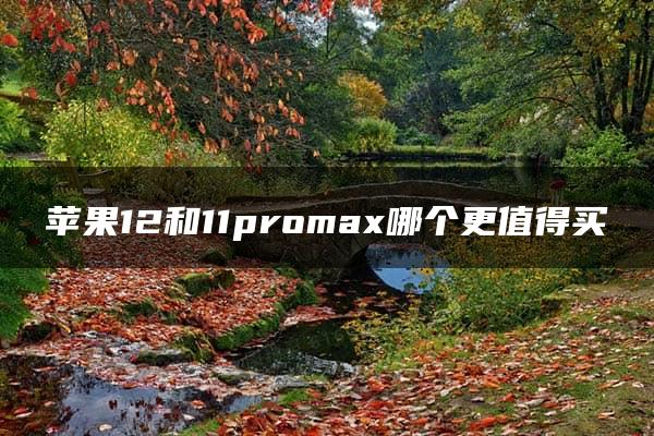 苹果12和11promax哪个更值得买