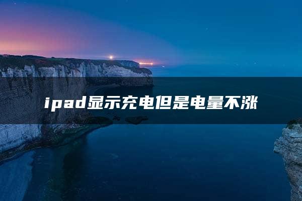 ipad显示充电但是电量不涨