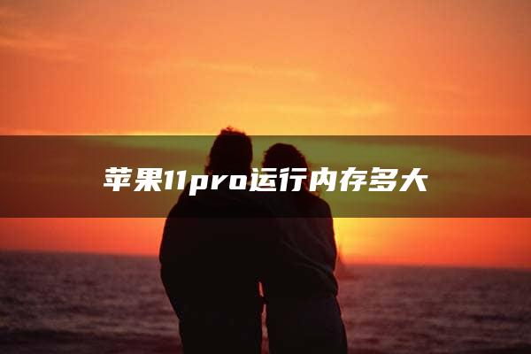 苹果11pro运行内存多大