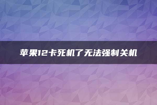 苹果12卡死机了无法强制关机