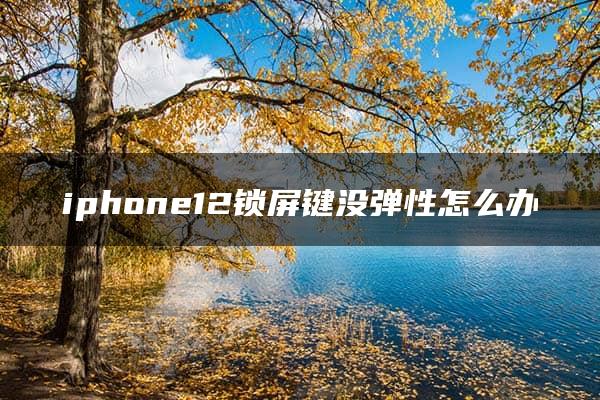 iphone12锁屏键没弹性怎么办